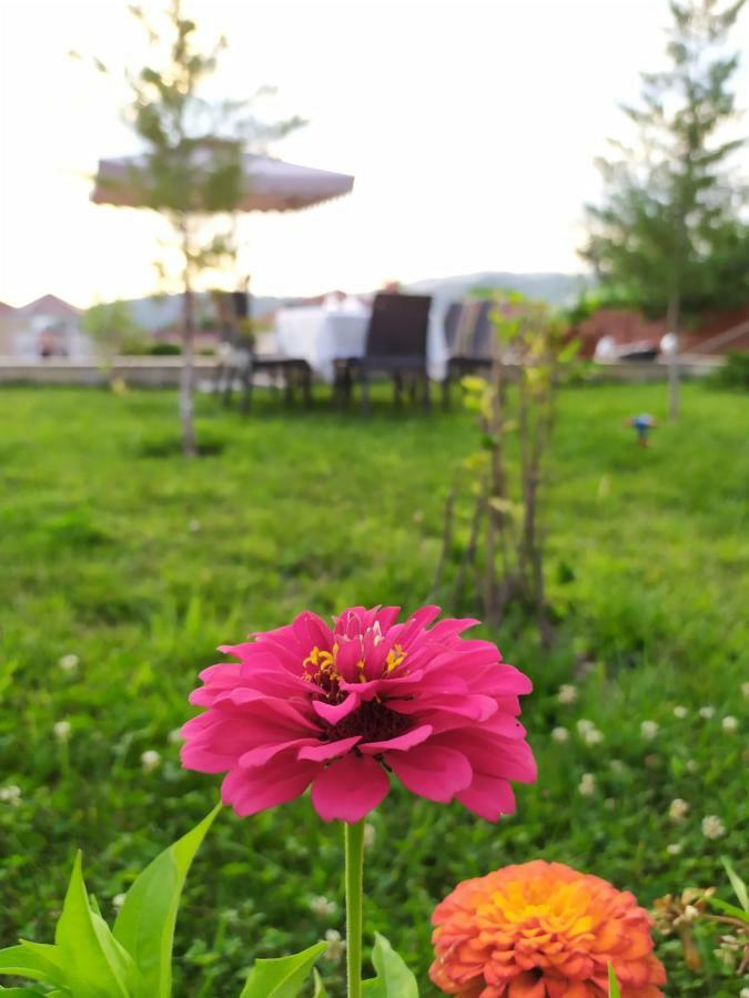 Bliss Inn Boutique Hotel Gabala Exterior foto